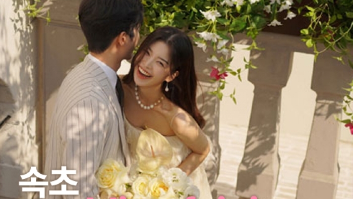 더셜리 속초웨딩페어